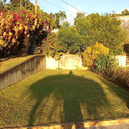Charmant Appartement Verdoyant Le Morne-Vert Luaran gambar